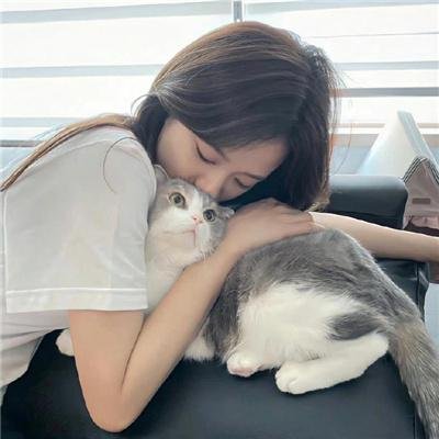 外交风云
